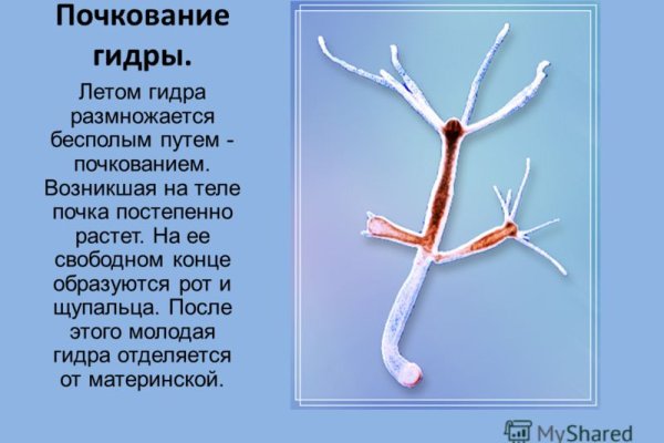 Как восстановить пароль на кракене