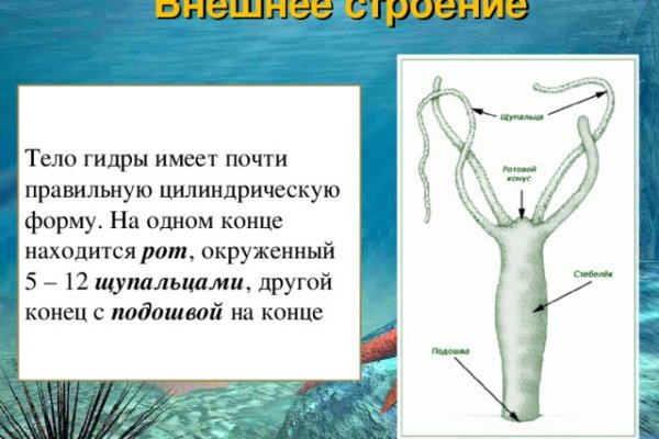 Кракен официальный сайт krakens13 at